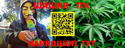 гашик Бийск