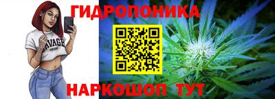 гашик Бийск