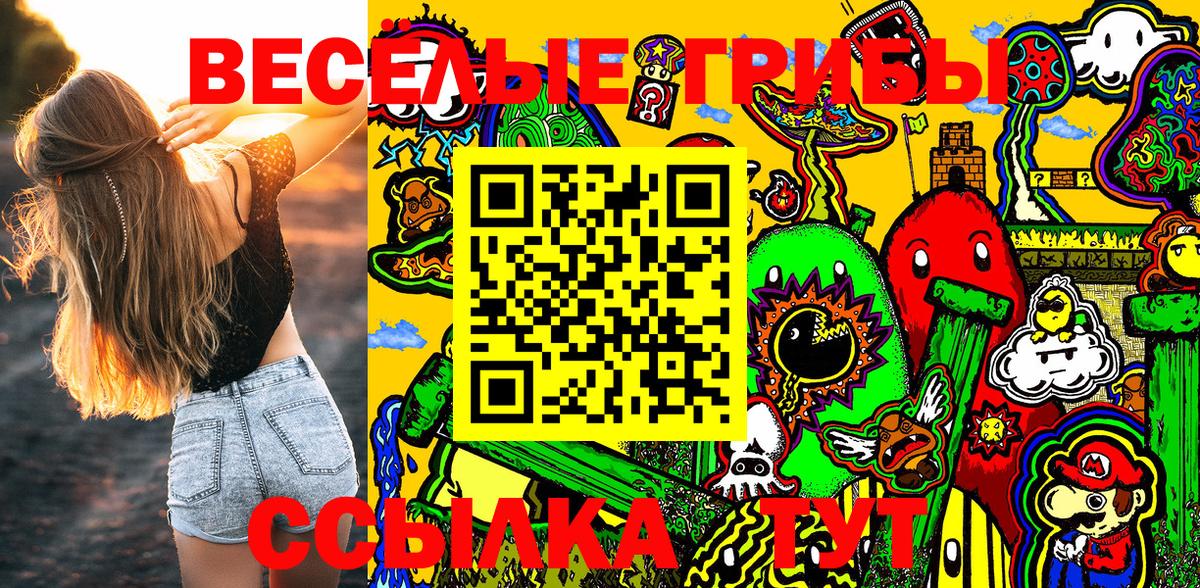 как найти закладки  Вход с VPN  Керчь  Галлюциногенные грибы Psilocybine cubensis 